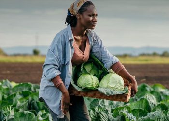 Appel à projets : L&rsquo;OIF lance la 5e édition de son Fonds LaFrancophonie avec Elles