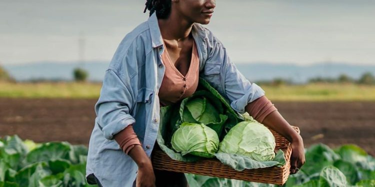 Appel à projets : L&rsquo;OIF lance la 5e édition de son Fonds LaFrancophonie avec Elles